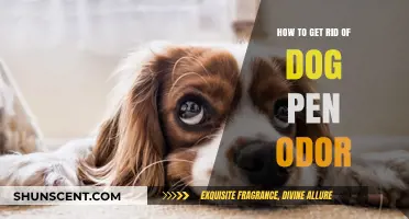 Freshen Up Your Home: Effective Tips to Eliminate Dog Pen Odor
