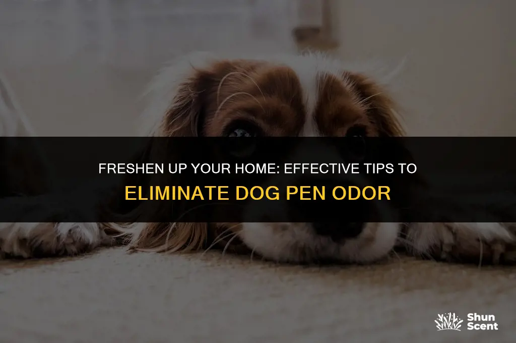 how to get rid of dog pen odor