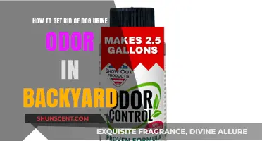 Eliminate Dog Urine Odor in Your Backyard: A Comprehensive Guide