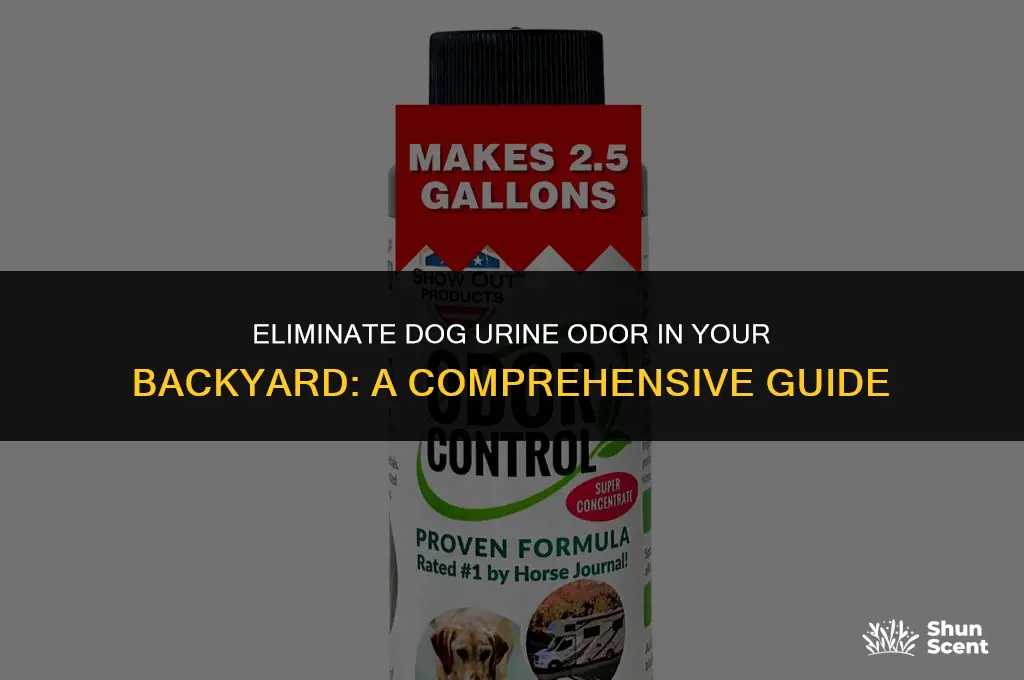 how to get rid of dog urine odor in backyard