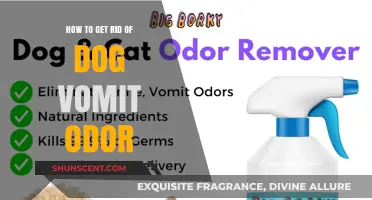 Effective Ways to Eliminate Dog Vomit Odor from Your Home
