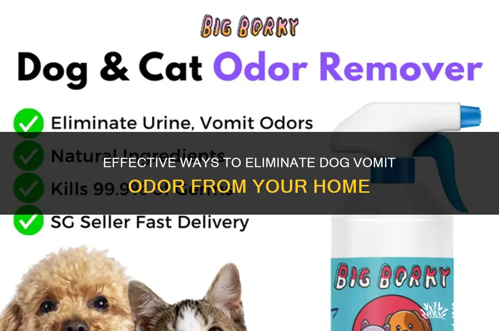 how to get rid of dog vomit odor
