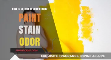 Effective Ways to Eliminate Strong Paint Odor from Doors