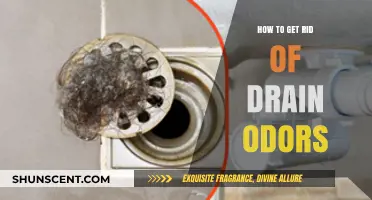 Banish Drain Odors: A Comprehensive Guide to Freshening Your Home