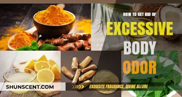 Freshen Up: A Comprehensive Guide to Managing Excessive Body Odor