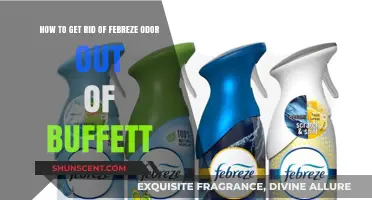 Eliminating Febreze Odor from Your Buffet: A Comprehensive Guide