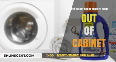 Banishing Febreze Odors: A Guide to Freshening Your Cabinets