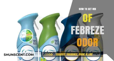 Freshen Up Your Space: A Guide to Eliminating Febreze Odors