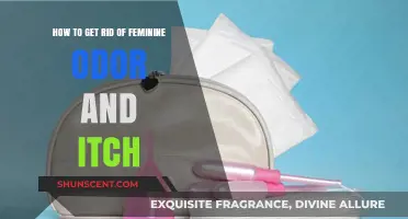 Fresh and Comfortable: A Guide to Managing Feminine Odor and Itch