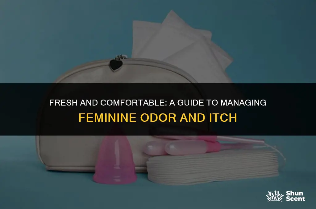 how to get rid of feminine odor and itch