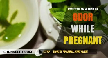 Natural Remedies for Feminine Odor During Pregnancy