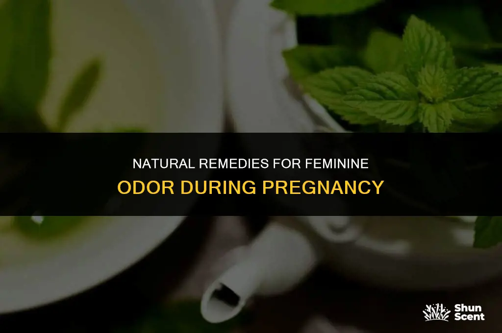 how to get rid of feminine odor while pregnant