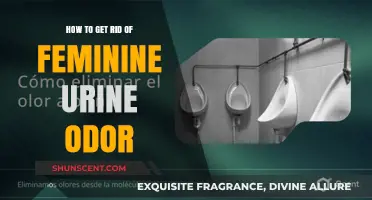 Fresh and Clean: Eliminating Feminine Urine Odor Naturally