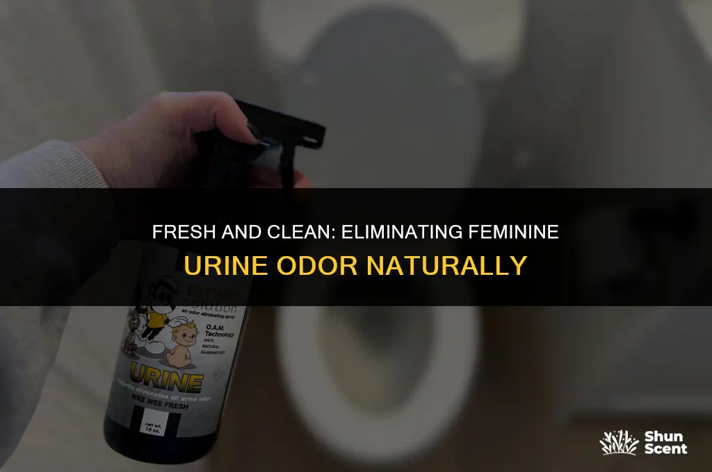 how to get rid of feminine urine odor