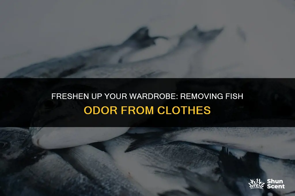 how to get rid of fish odor from clothes