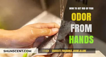 Fresh Hands, Happy Cook: Eliminating Fish Odor Effortlessly