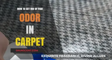 Freshen Up Your Home: Effective Ways to Eliminate Fish Odor from Carpets