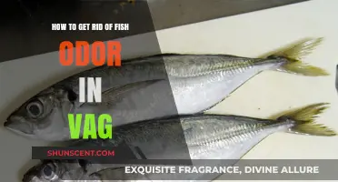 Fresh and Clean: Eliminating Fish Odor in the Vaginal Area