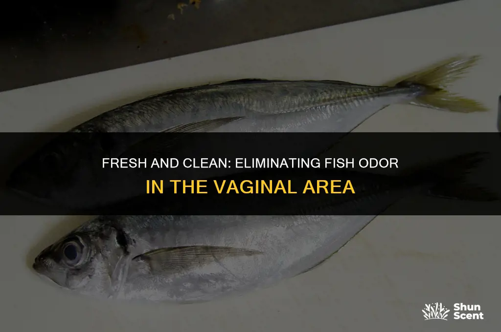 how to get rid of fish odor in vag