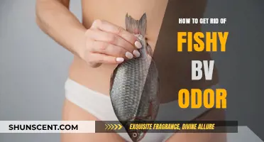 Freshen Up: Effective Ways to Eliminate Fishy BV Odor
