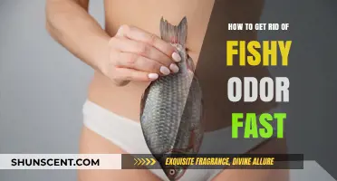 Freshen Up Your Space: Quick Tips to Eliminate Fishy Odors