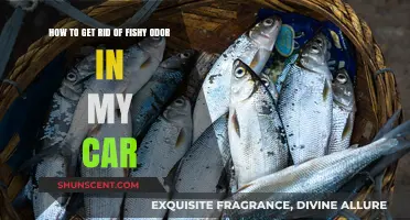 Freshen Up Your Ride: Eliminating Fishy Odors in Your Car