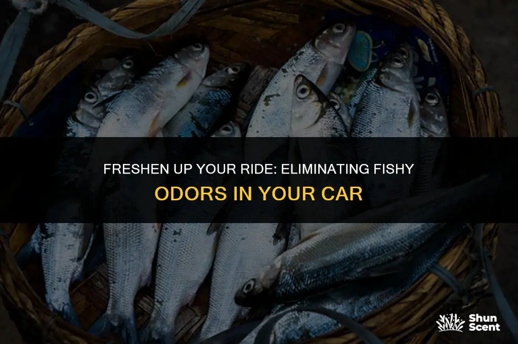 how to get rid of fishy odor in my car