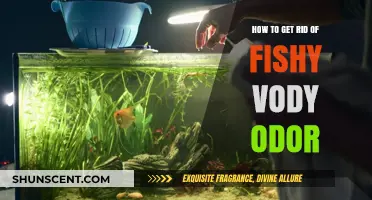 Freshen Up Your Aquarium: Eliminating Fishy Water Odor