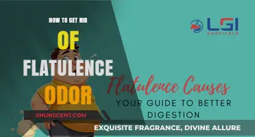 Banish Embarrassing Gas: A Guide to Eliminating Flatulence Odor