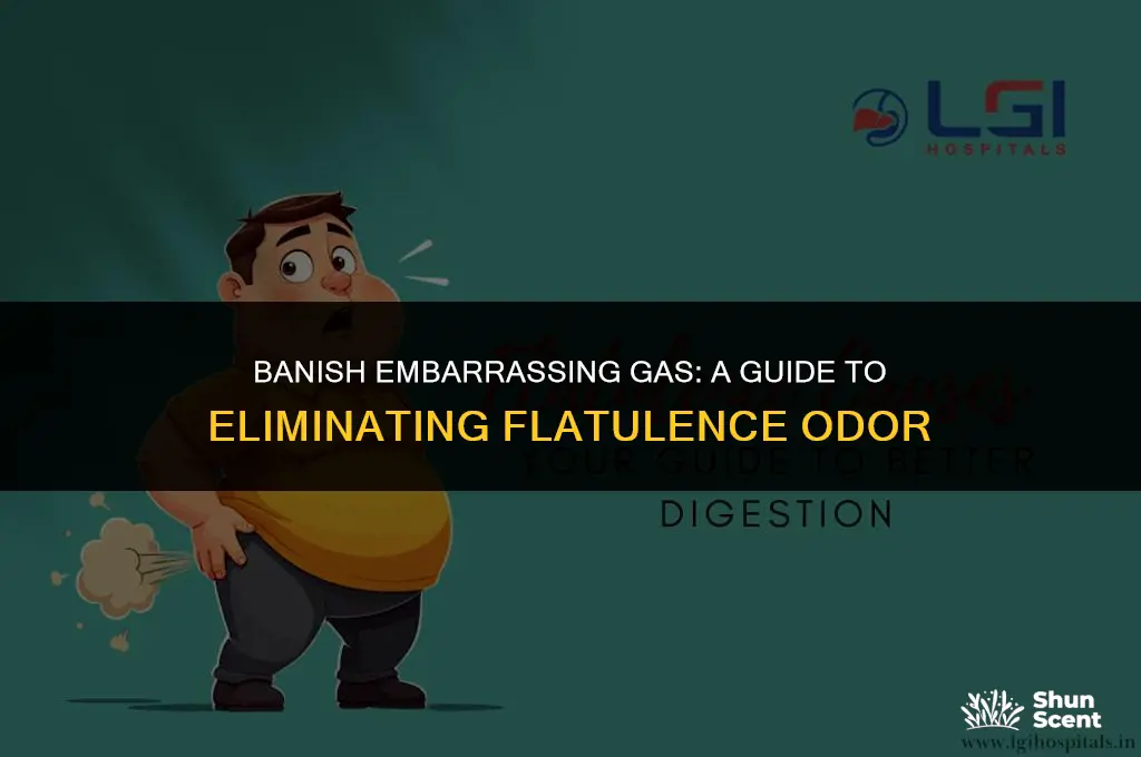 how to get rid of flatulence odor