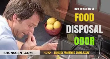 Freshen Up Your Kitchen: Effective Ways to Eliminate Food Disposal Odors