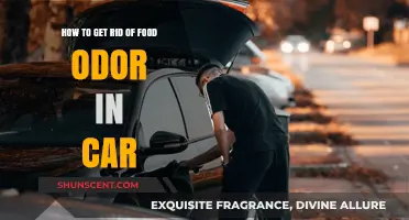 Freshen Up Your Ride: Eliminating Food Odors from Your Car