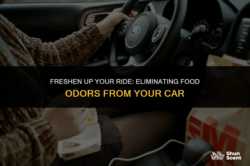 how to get rid of food odor in car