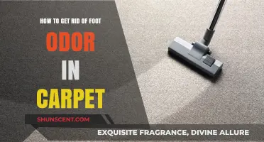 Freshen Up Your Home: A Guide to Eliminating Foot Odor from Carpets