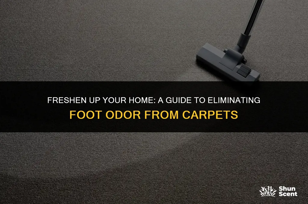 how to get rid of foot odor in carpet