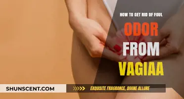 Fresh and Clean: A Guide to Eliminating Vaginal Odor Naturally