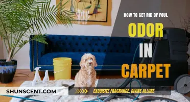 Freshen Up Your Home: Effective Tips to Eliminate Carpet Odors