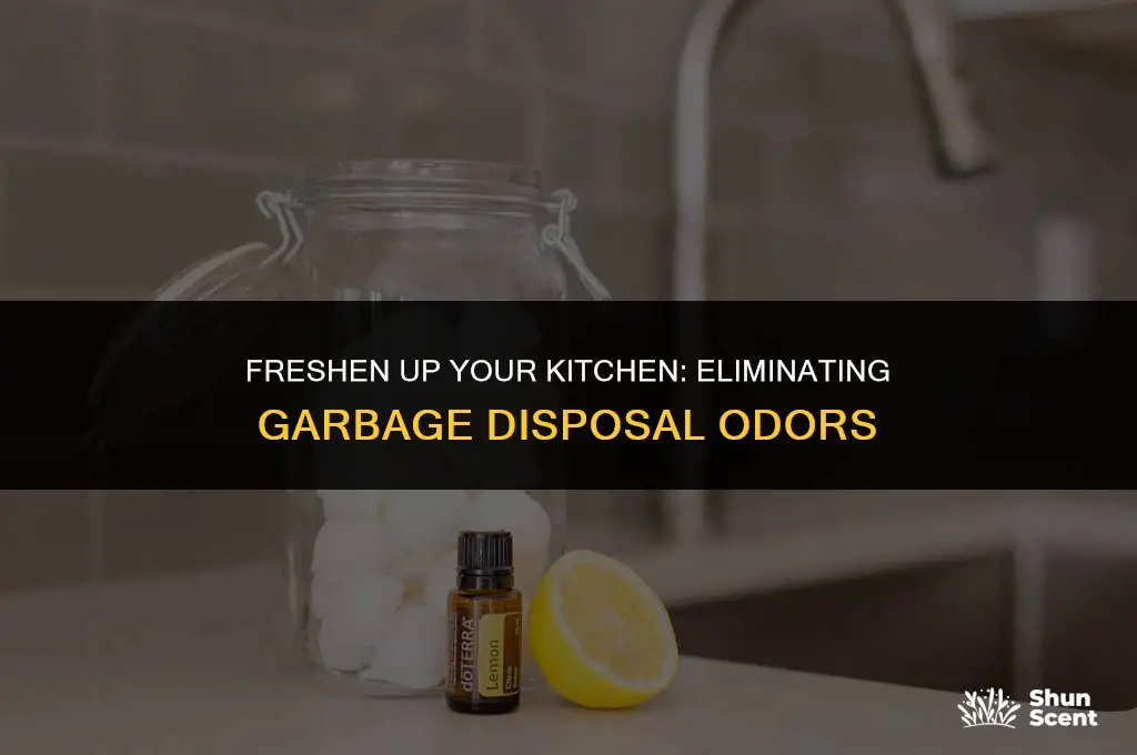 how to get rid of foul odor in garbage disposal