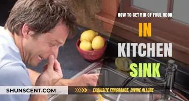 Freshen Up Your Kitchen: Eliminating Foul Odors from Your Sink