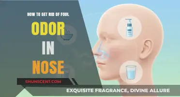 Banish Nasal Odors: A Guide to Freshening Your Senses