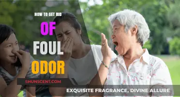 Freshen Up: Effective Ways to Eliminate Foul Odors