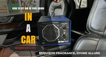 Freshen Up Your Ride: Eliminating Foul Odors in Your Car