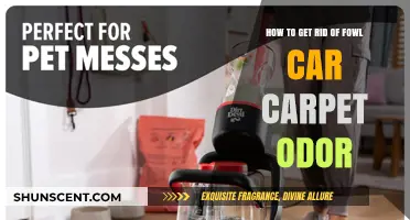 Freshen Up Your Ride: Eliminating Pesky Fowl Odor from Car Carpets
