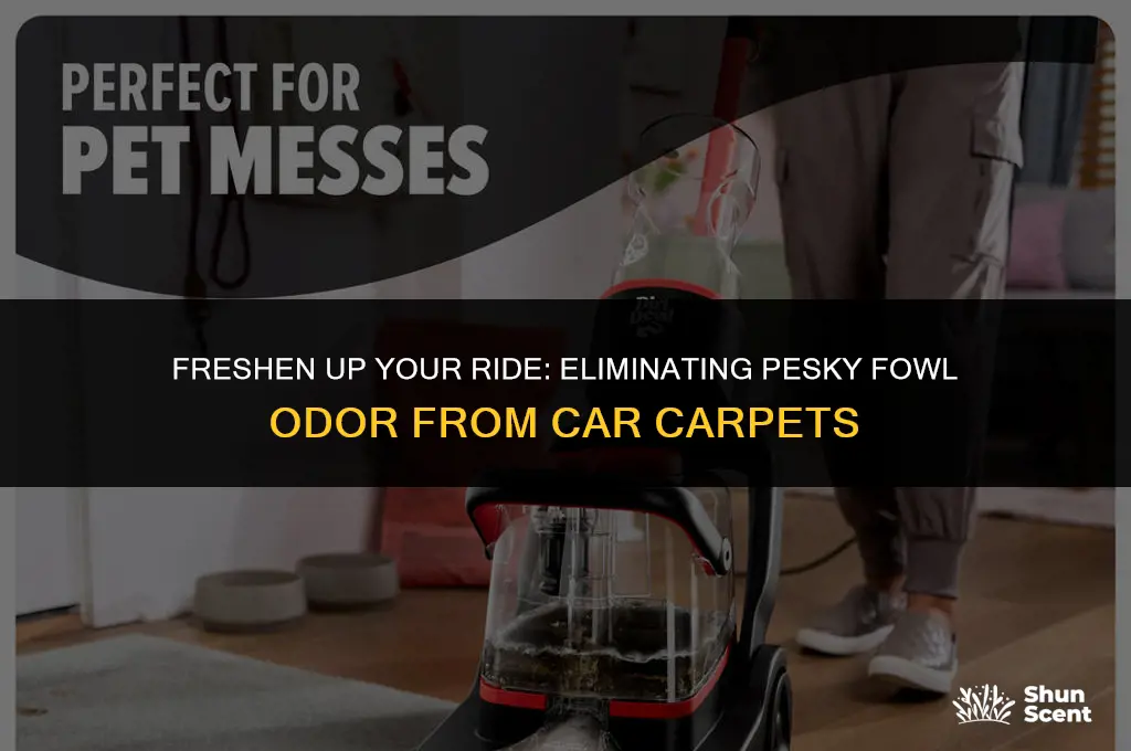 how to get rid of fowl car carpet odor