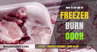 Eliminate Freezer Burn Odor: A Comprehensive Guide to Freshening Your Frozen Foods