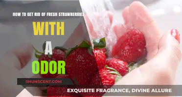 Quick Tips: Eliminating Odors from Fresh Strawberries