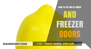 Freshen Up Your Kitchen: Eliminating Fridge and Freezer Odors