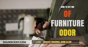 Freshen Up Your Space: A Guide to Eliminating Furniture Odors