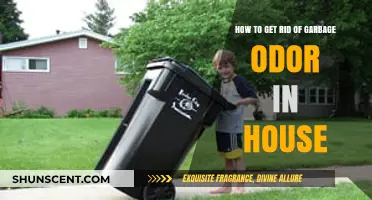 Banish Garbage Odors: A Comprehensive Guide to a Fresh-Smelling Home