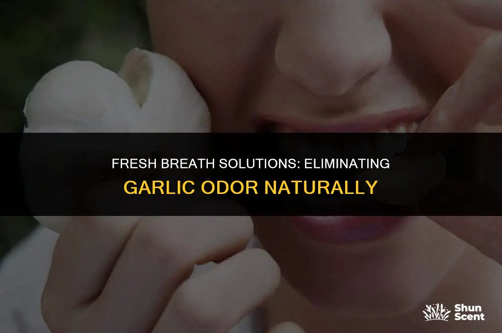 how to get rid of garlic breath odor